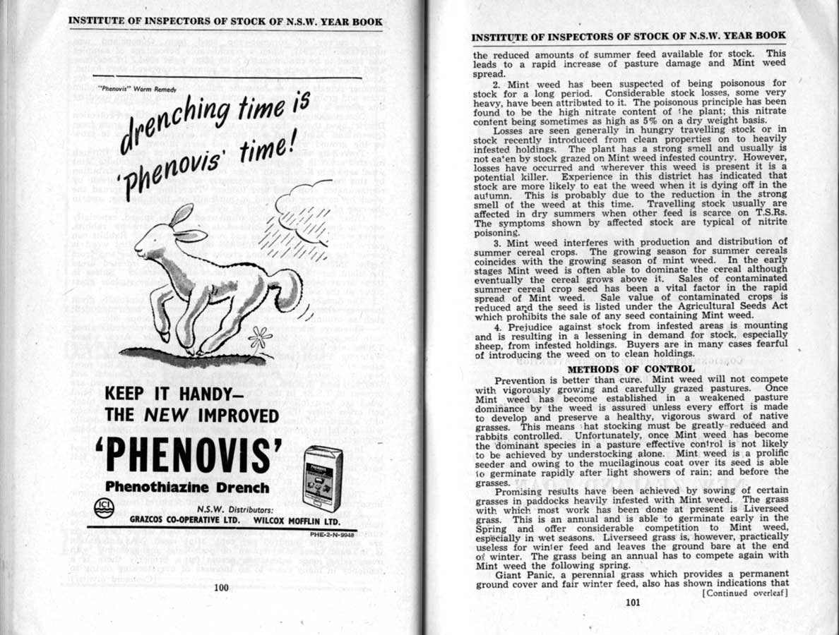 1950 Page 100 101